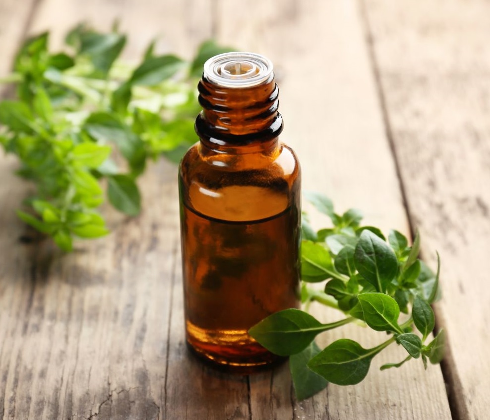 Oregano Oil For Teeth: 3 Important Benefits & How To Use It