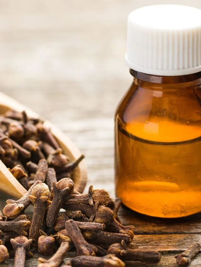 clove essential oil for toothache featured