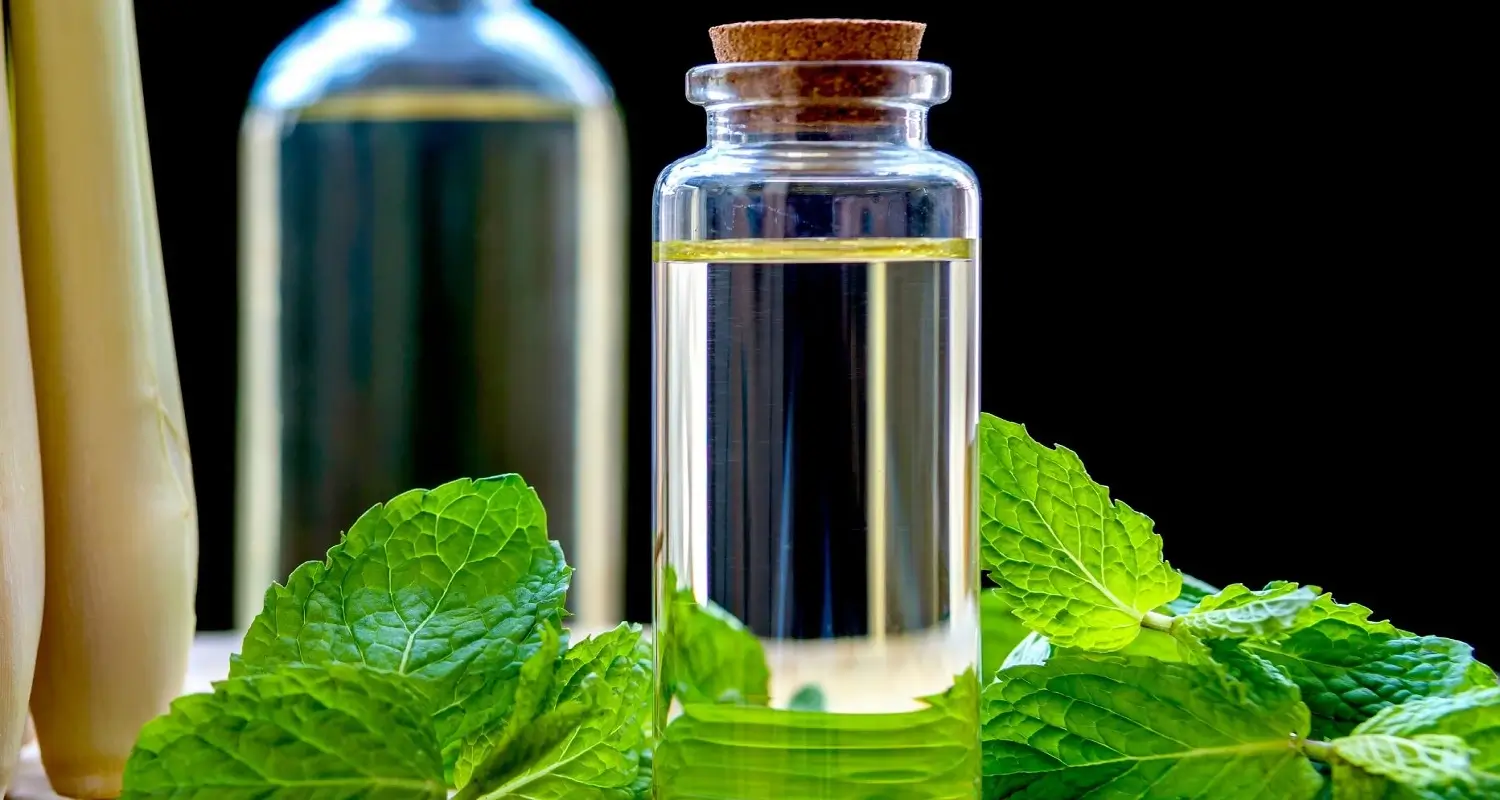 peppermint oil for toothache