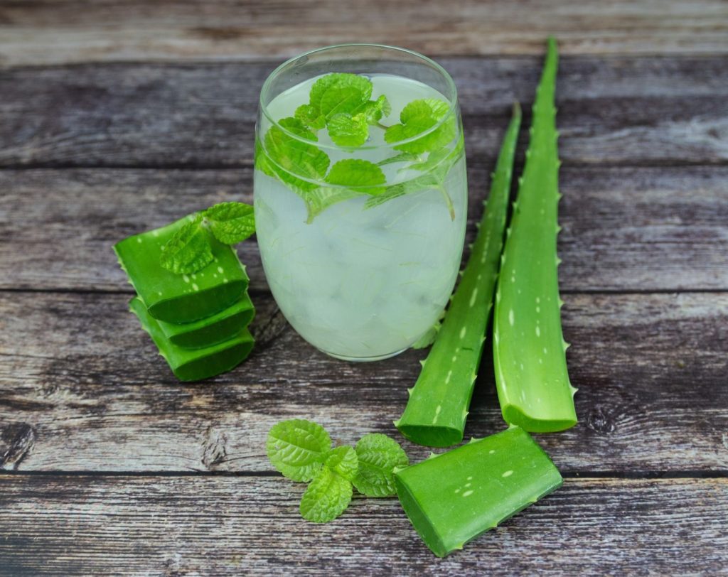 What Are Aloe Vera Top Healing Benefits for Gum Disease?