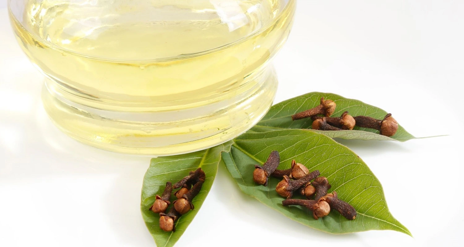 clove and tea tree oil 