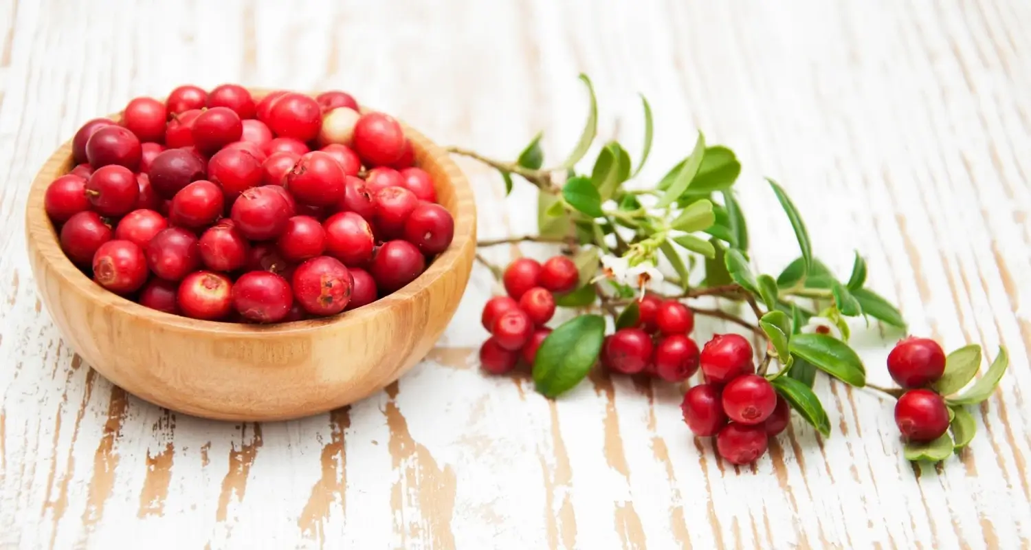 5 Amazing Cranberry Oral Health Benefits You Must Know