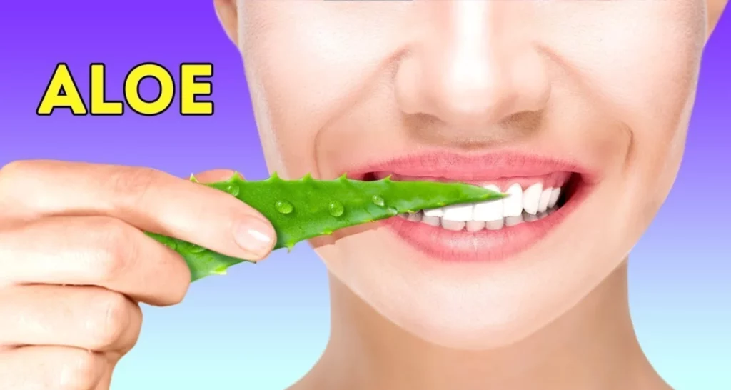 Are there natural Gum recession treatments