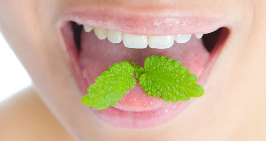 5 Key Benefits of Chewing Sugar-Free Gum