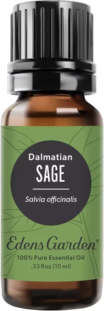Enjuague bucal de salvia: Protege tu sonrisa de forma natural