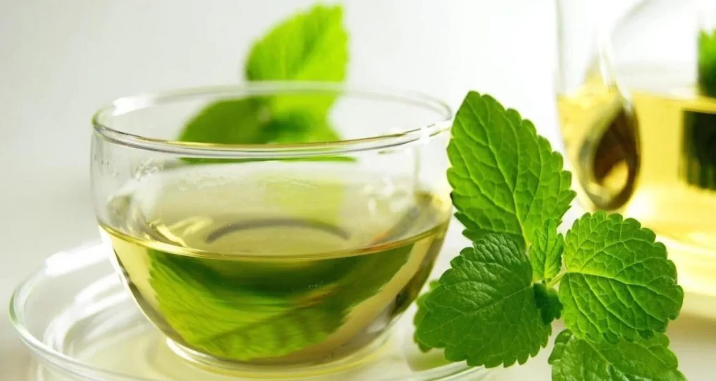 Té de menta