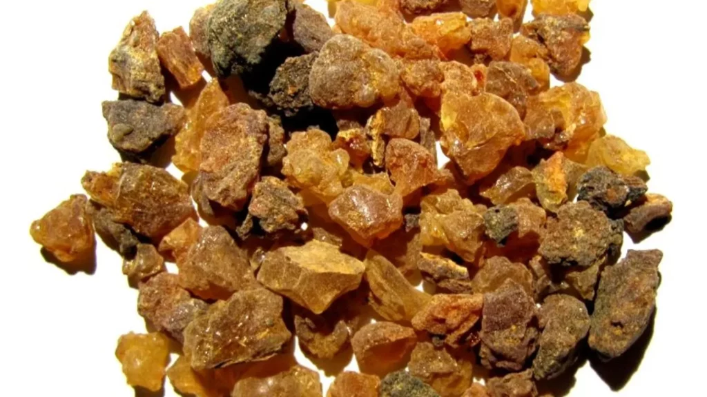 ¿Cuáles son los beneficios de la mirra en la salud bucal? 12 ¿Qué es la Mirra y dónde se encuentra