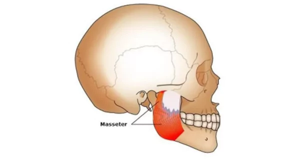 7 Effective Jawline Exercises to Sculpt and Define Your Face