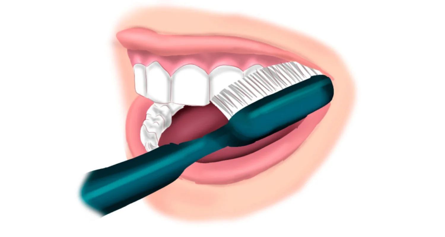 2 - What is the Bass toothbrushing technique