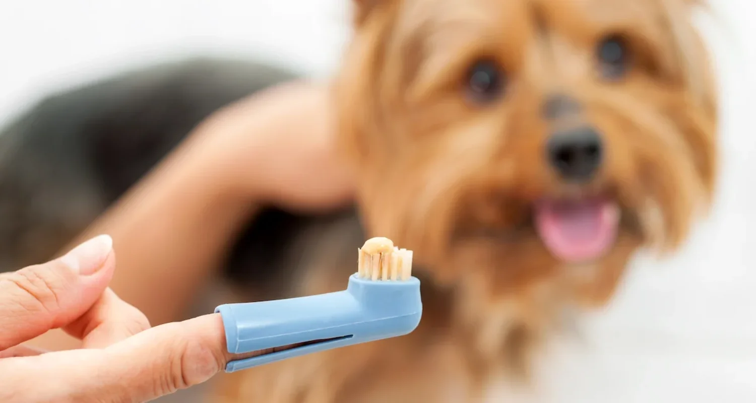 4 - Natural Toothpaste for Dogs vs. Natural Commercial Toothpaste