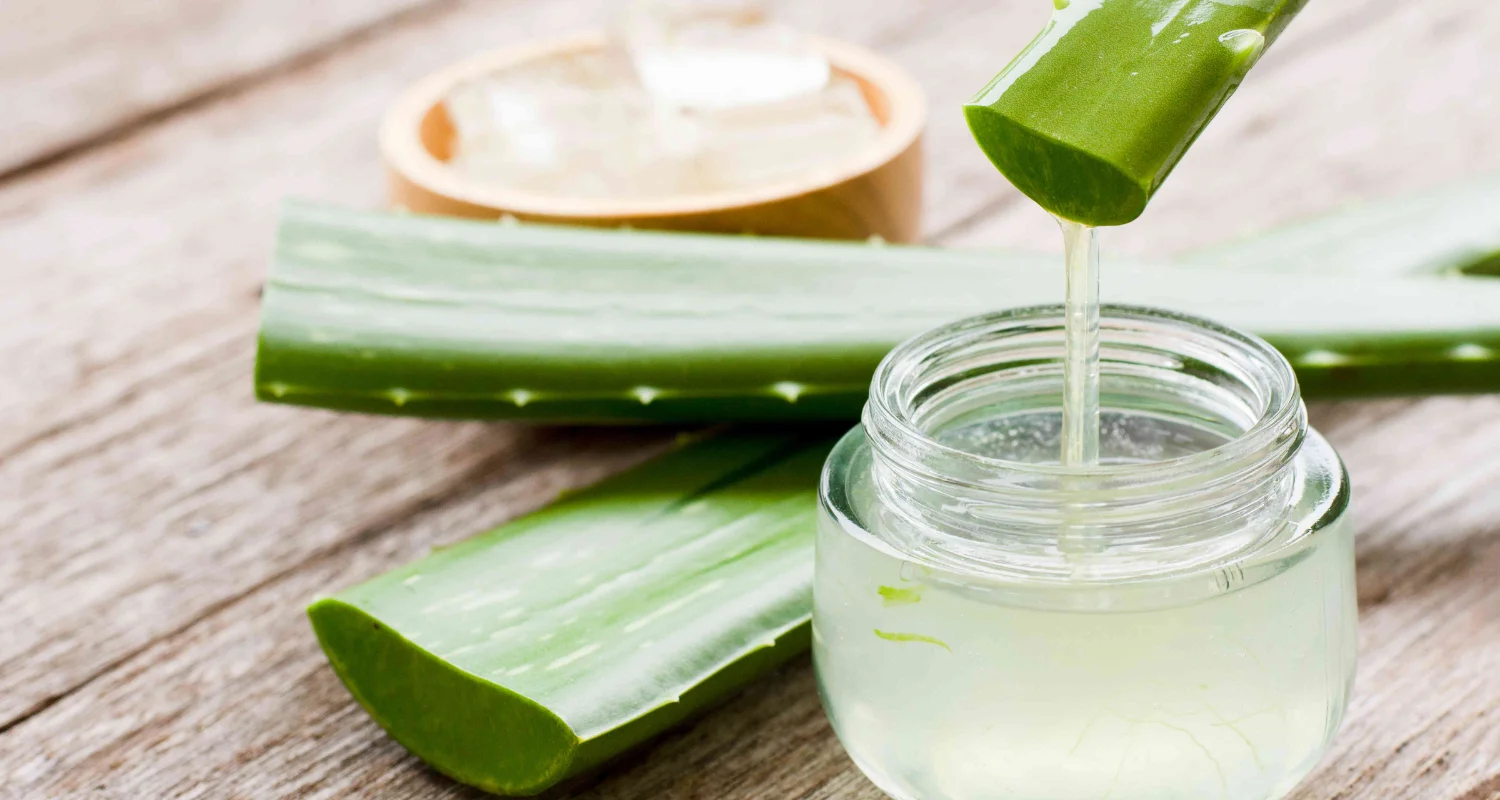 5 - Aloe vera - natural antibiotics for gum infection