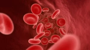 ¿Cómo afecta el síndrome antifosfolipídico a tu salud bucal?