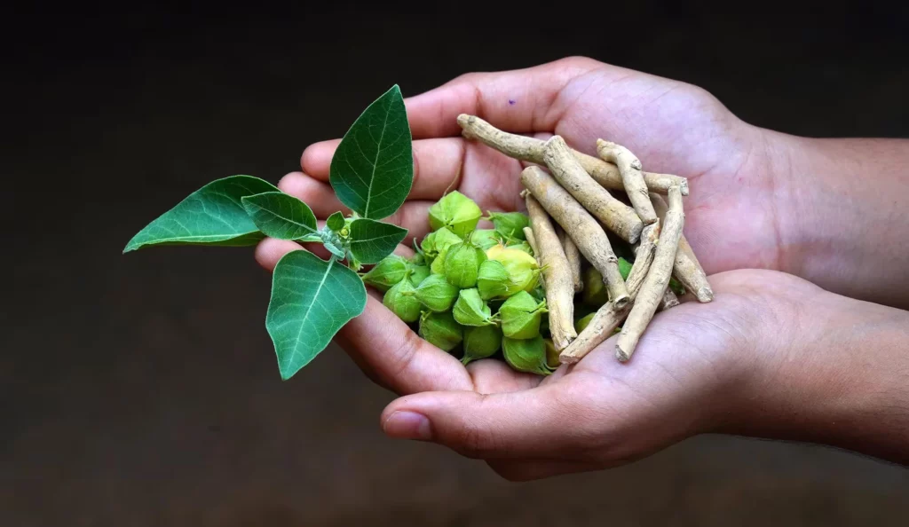 What Are the Ashwagandha Benefits for Oral Health?