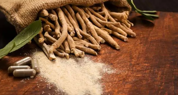 ¿Qué es la Ashwagandha y cómo funciona?