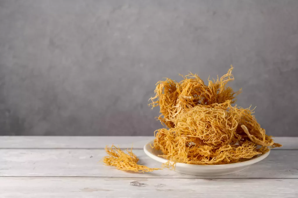 How Does Sea Moss Benefit Teeth and Gums?