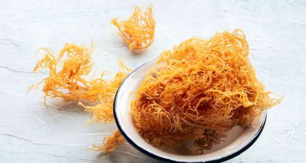 What are the best sea moss products for oral health?