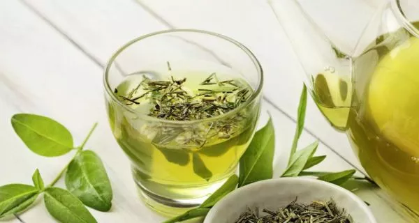 ¿Es bueno el té verde para la salud bucal? 8 How does green tea for oral health work?