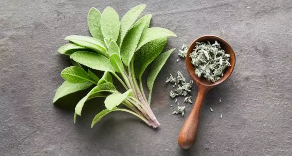 What is sage and why does it matter for your teeth?