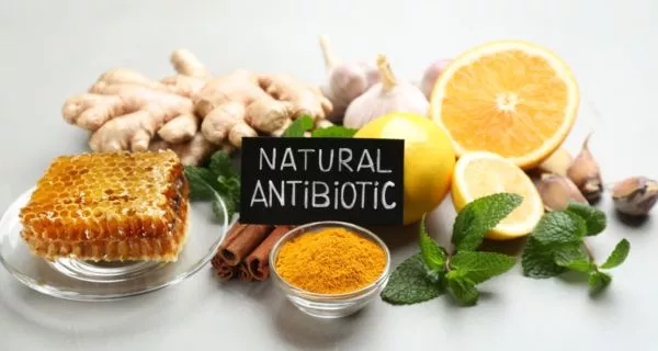 19 natural antibiotics for tooth infection: how each one works
