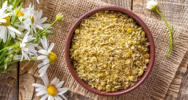 Chamomile